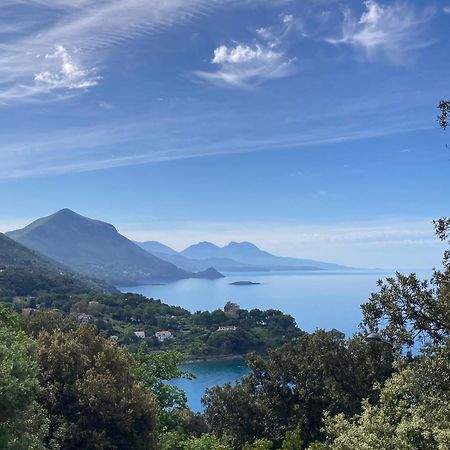 Il Casalino Apartment Maratea Exterior photo