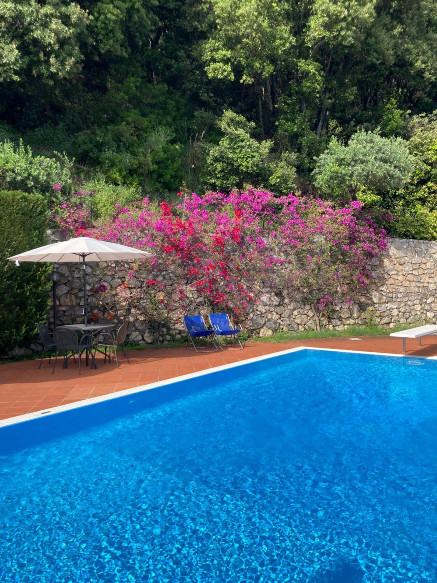 Il Casalino Apartment Maratea Exterior photo